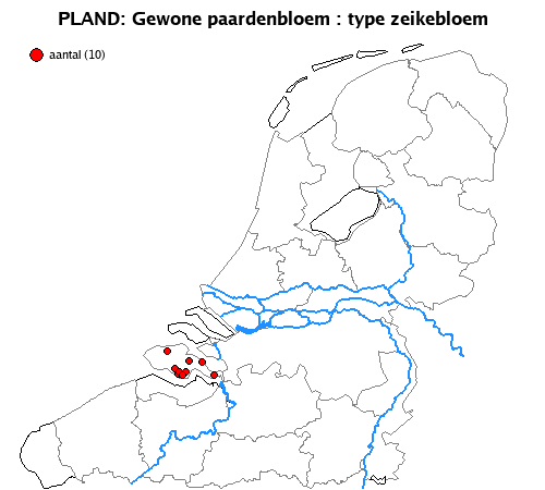 zeikebloem